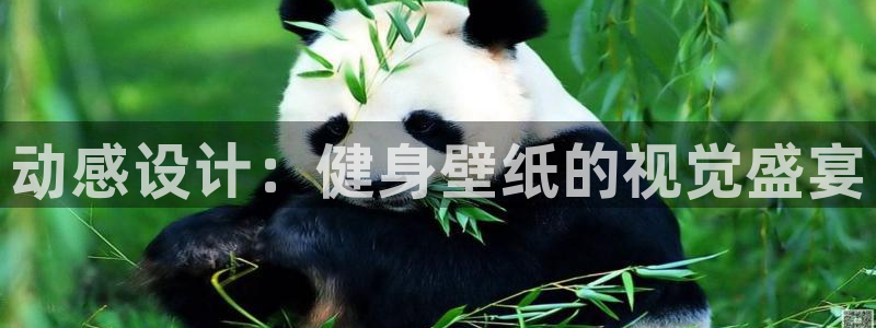 意昂4代理