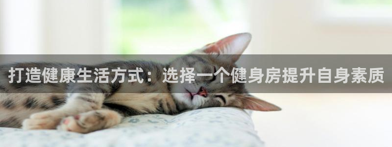 意昂4官方平台