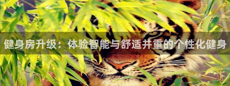 意昂4官网