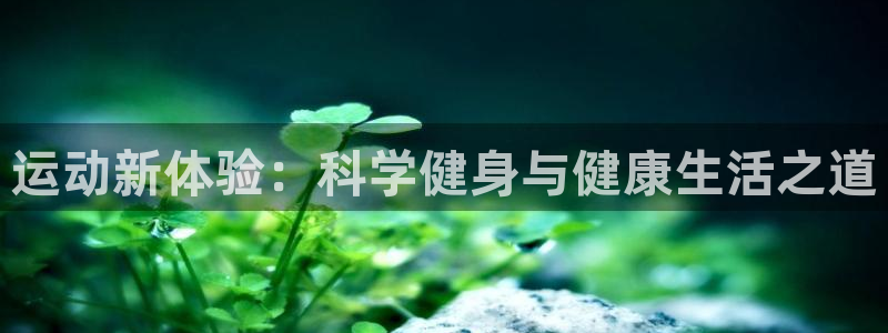 意昂4代理