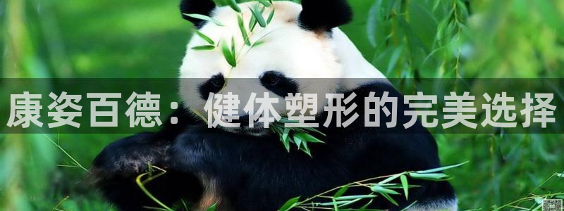 意昂4官方网站