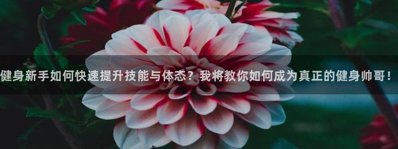 意昂4招商