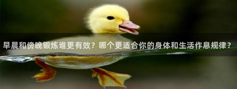 意昂4官方平台