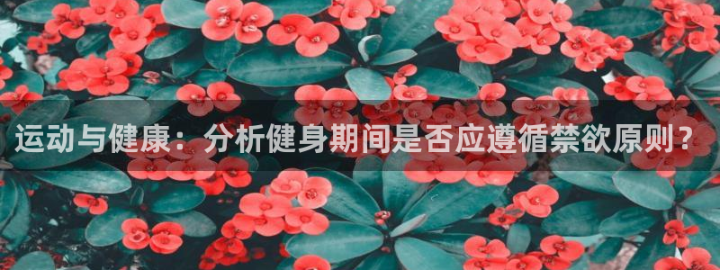意昂4招商