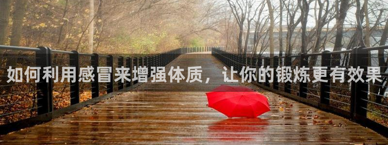 意昂4官网