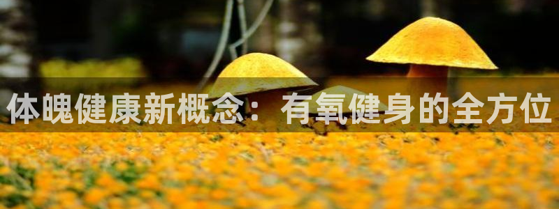 意昂4注册