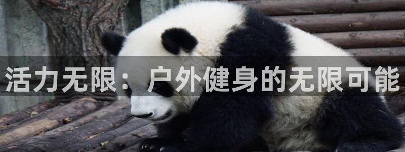意昂4官方平台