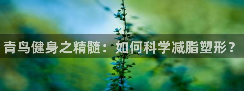 意昂4招商