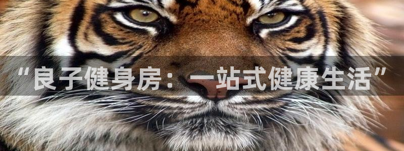 意昂4招商