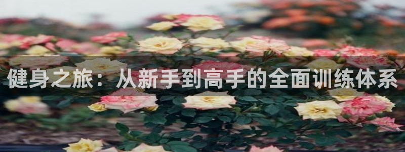 意昂4官方平台