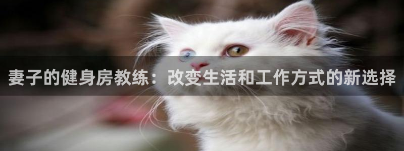 意昂4官方网站